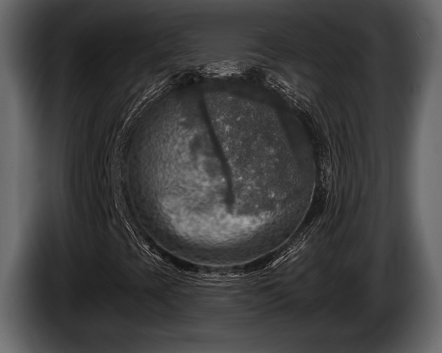 X0000085771393200703231213