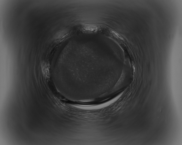 X0000085771394200703231213