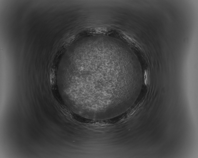 X0000085771395200703231213