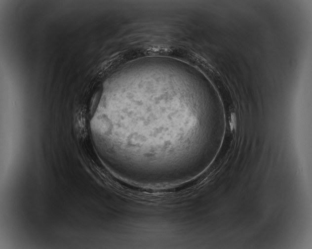 X0000085771396200703231213