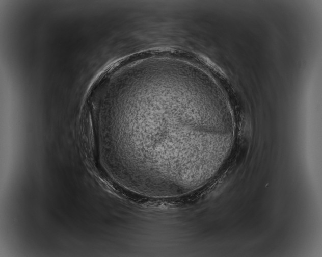 X0000085771400200703231213