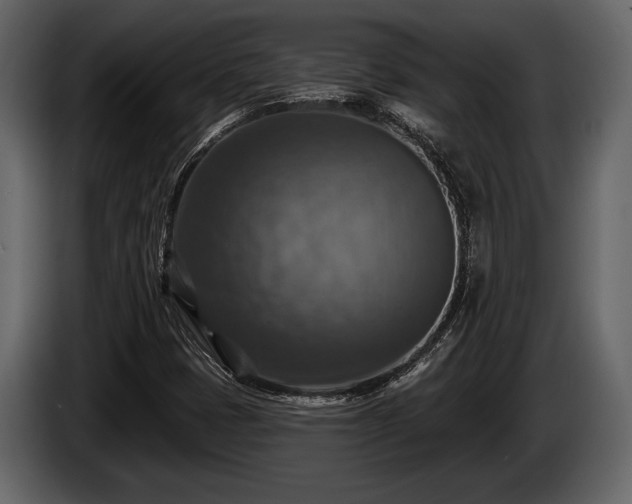 X0000085771401200703231213