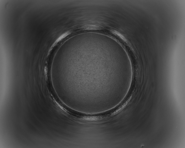 X0000085771402200703231213