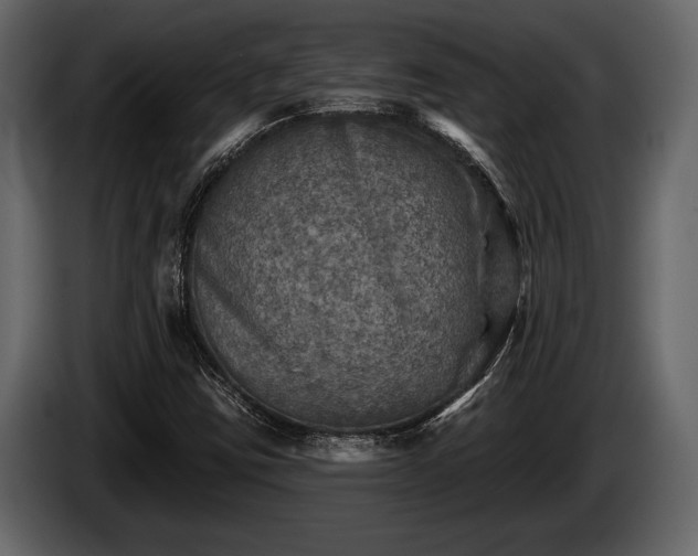 X0000085771403200703231213