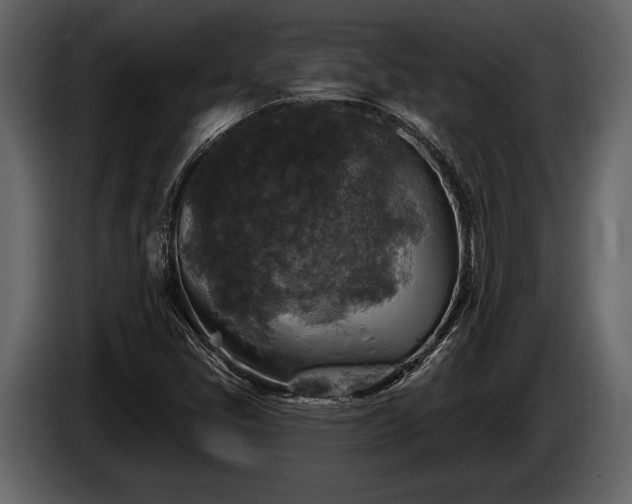 X0000085771405200703231213