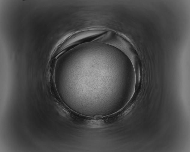 X0000085771406200703231213