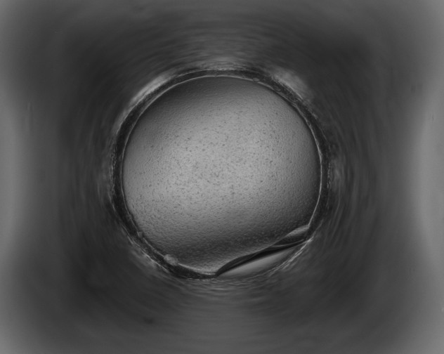 X0000085771410200703231213