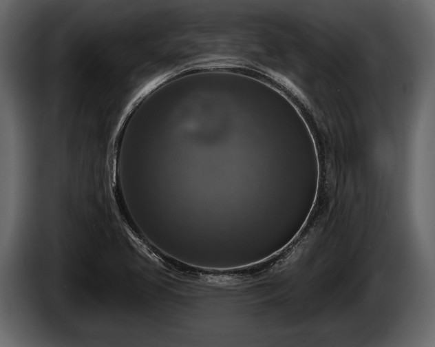 X0000085771413200703231213