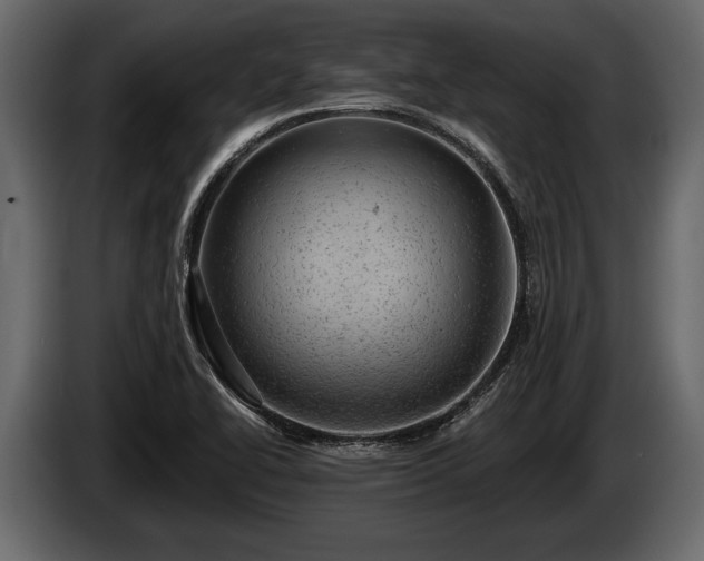 X0000085771414200703231213