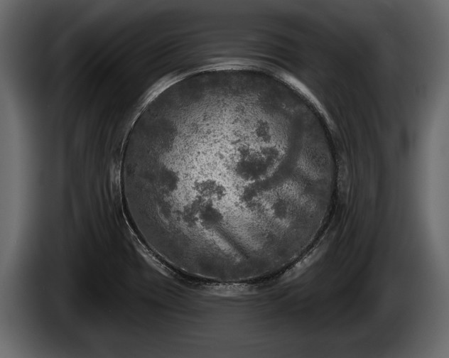 X0000085771417200703231213