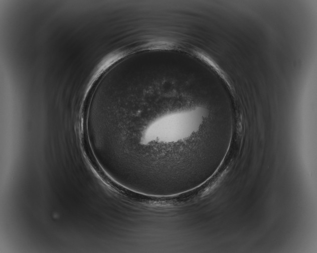 X0000085771418200703231213