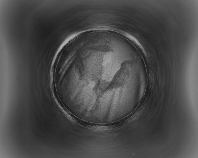 X0000085771424200703231213