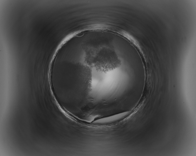 X0000085771429200703231213