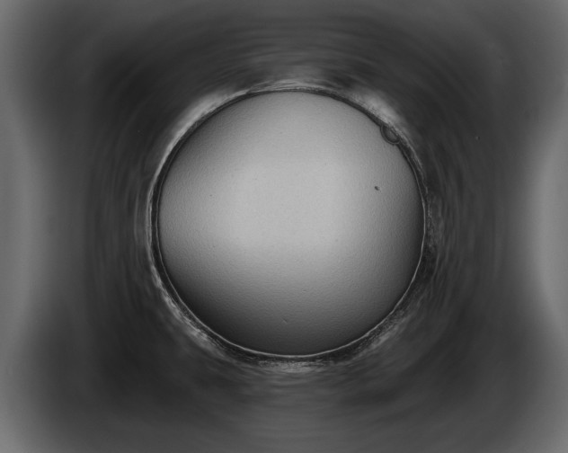 X0000085771431200703231213