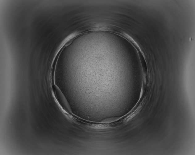 X0000085771434200703231213