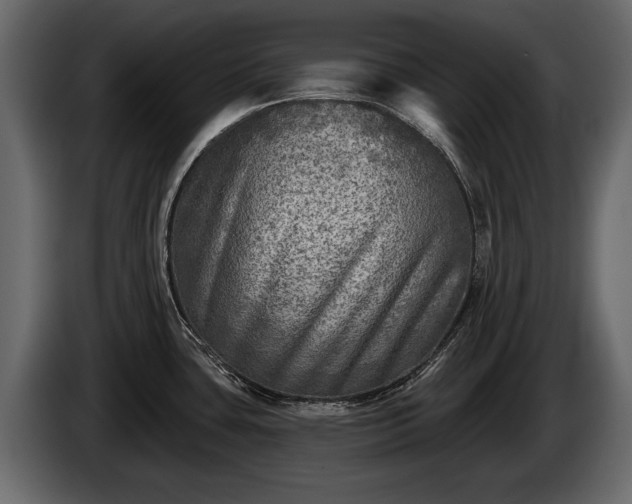 X0000085771435200703231213