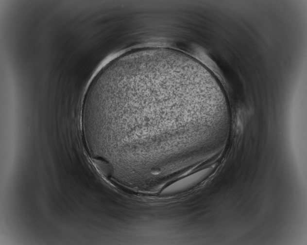 X0000085771436200703231214