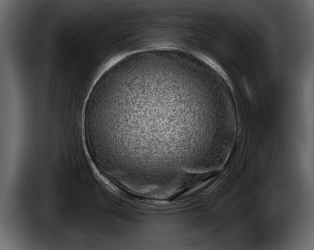 X0000085771439200703231214