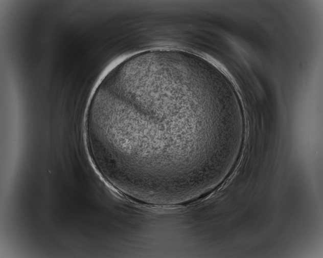 X0000085771440200703231214