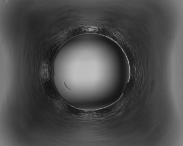 X0000085771442200703231213