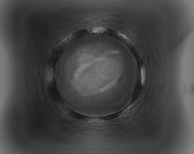 X0000085771443200703231213