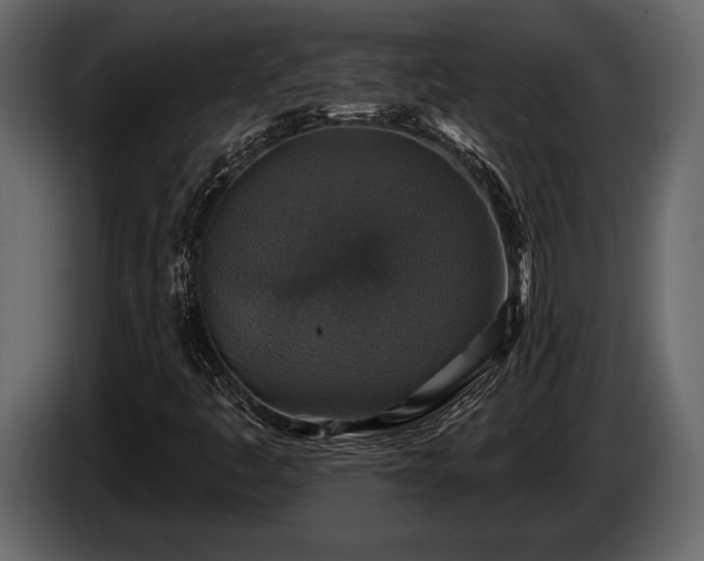 X0000085771445200703231213