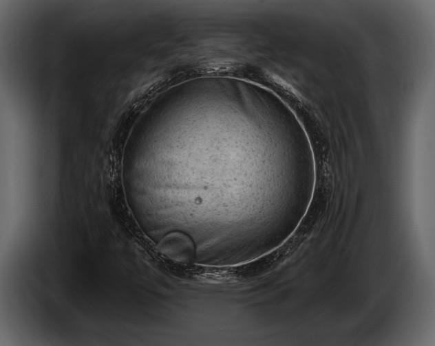 X0000085771447200703231213