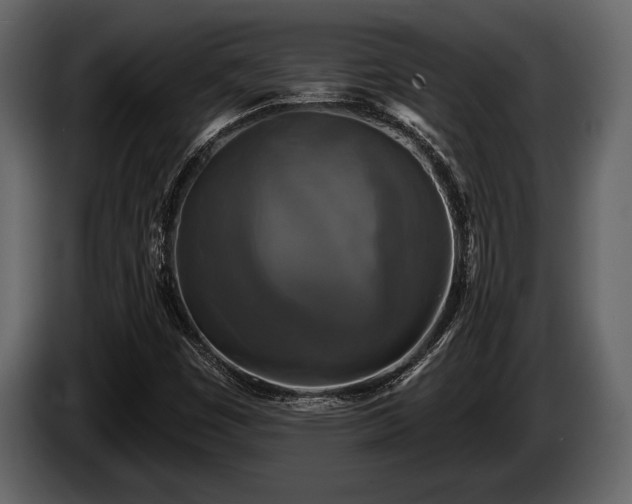 X0000085771449200703231213