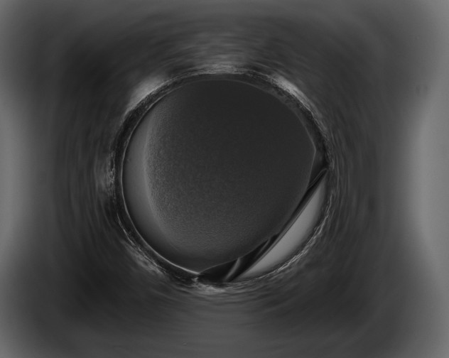 X0000085771450200703231213