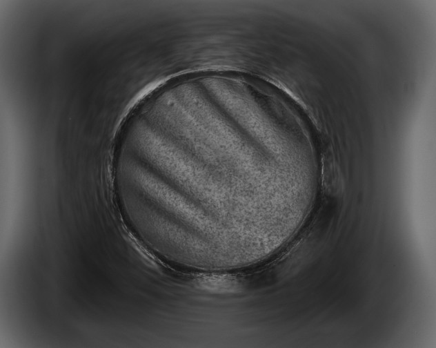 X0000085771452200703231213