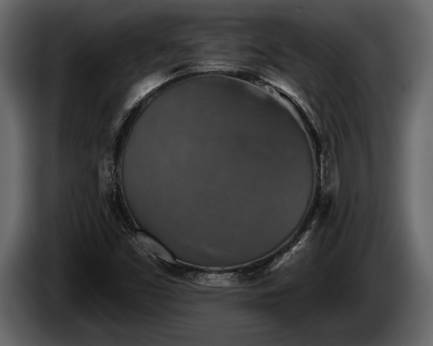 X0000085771453200703231213