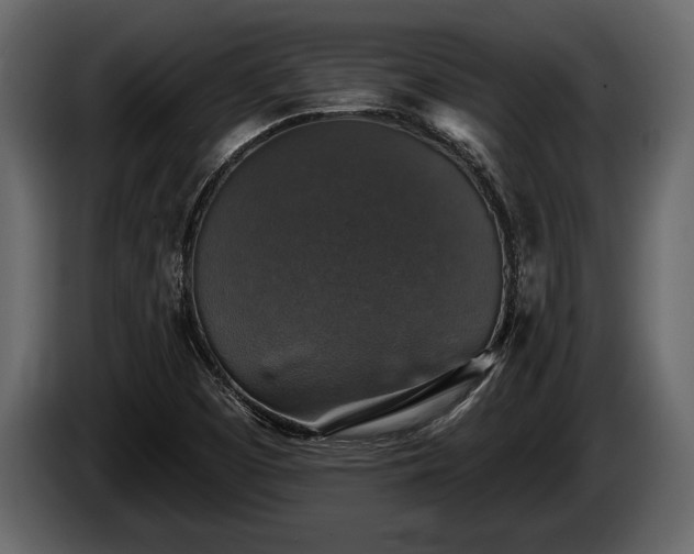 X0000085771457200703231212