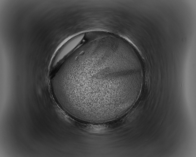 X0000085771460200703231212