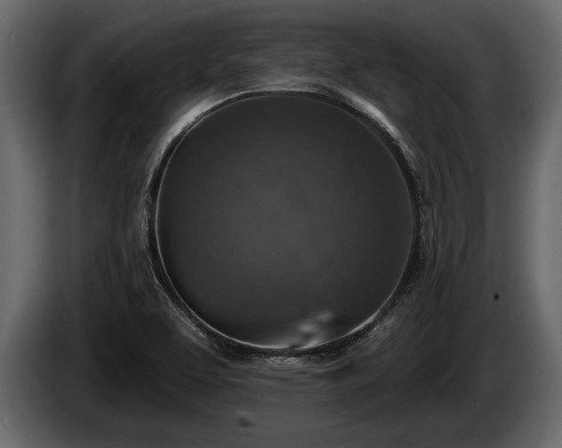 X0000085771463200703231212