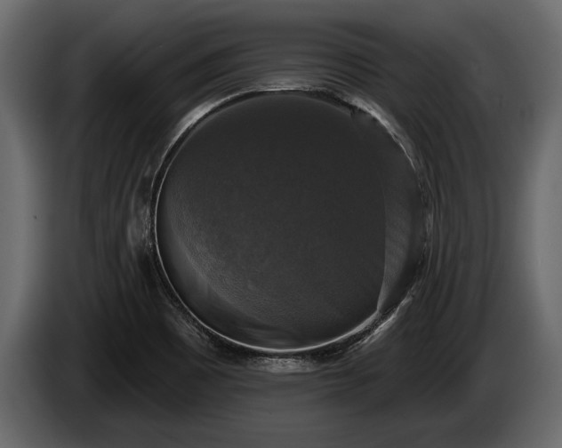 X0000085771465200703231212