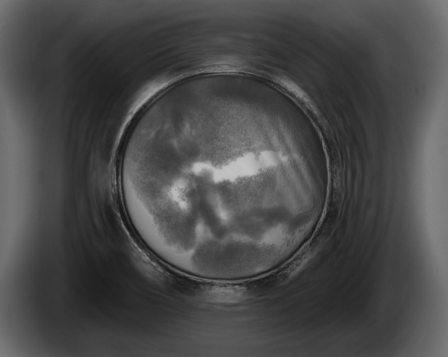 X0000085771466200703231212