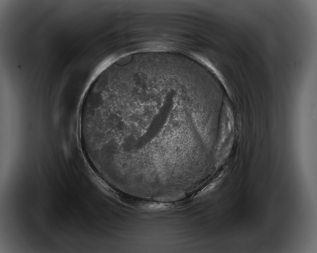 X0000085771467200703231212