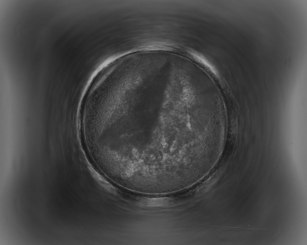 X0000085771471200703231212