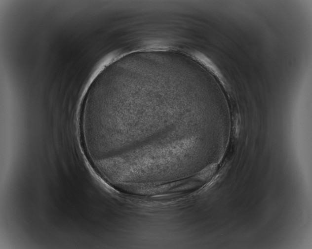 X0000085771475200703231212