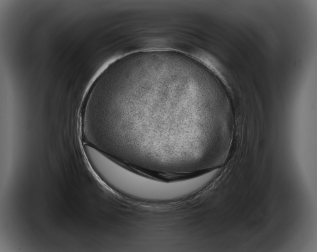 X0000085771476200703231212