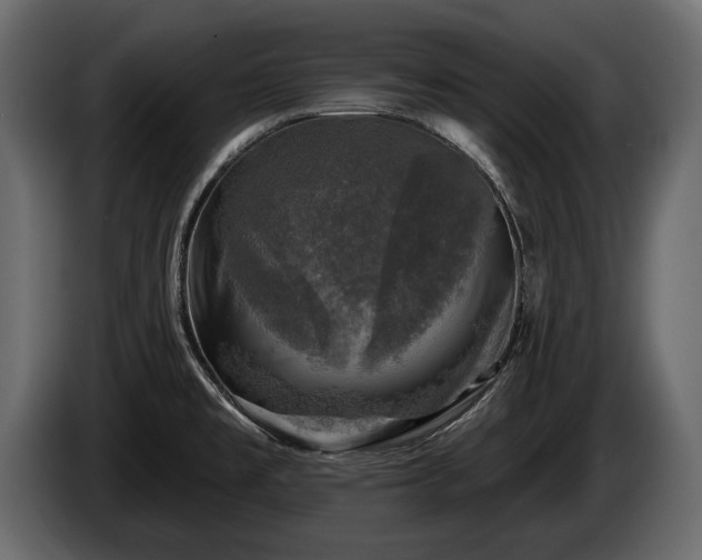 X0000085771477200703231212