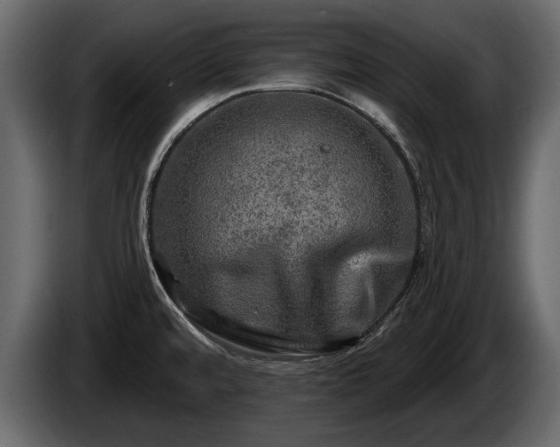 X0000085771480200703231212