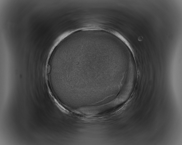 X0000085771485200703231212