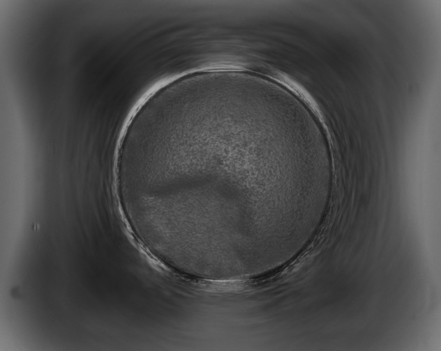 X0000085771488200703231212