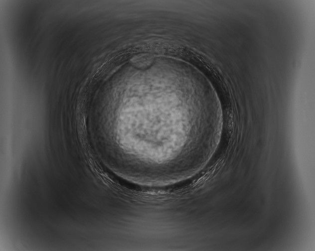 X0000085771489200703231211