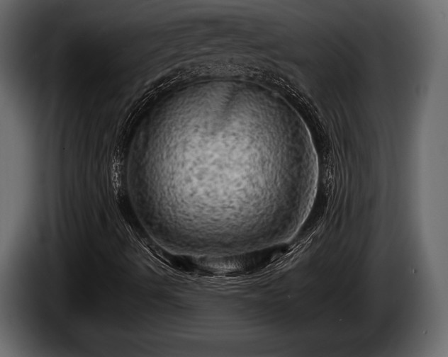 X0000085771490200703231211