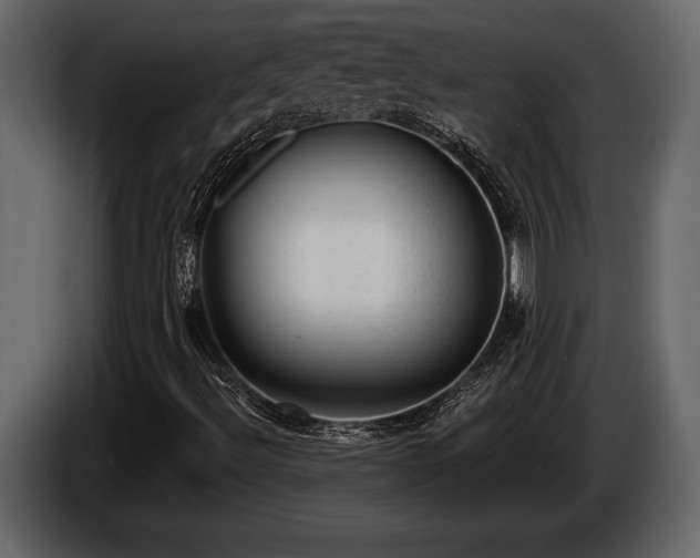 X0000085771492200703231211