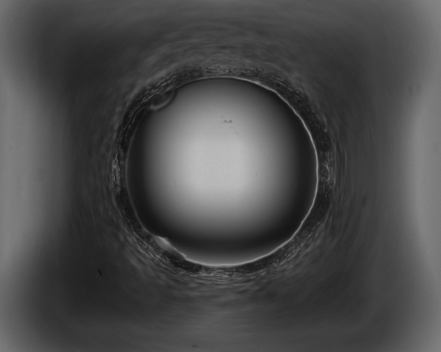 X0000085771493200703231211