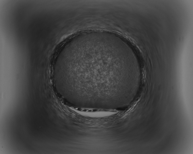 X0000085771494200703231211