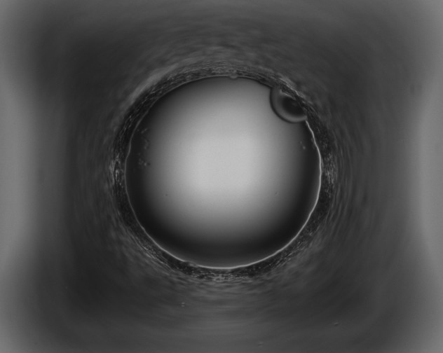 X0000085771495200703231211